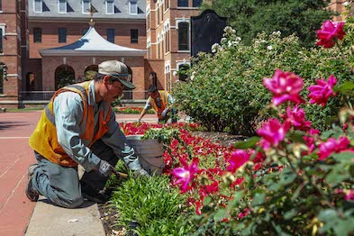 Two Hispanic men landscaping in a flower bed on a campus